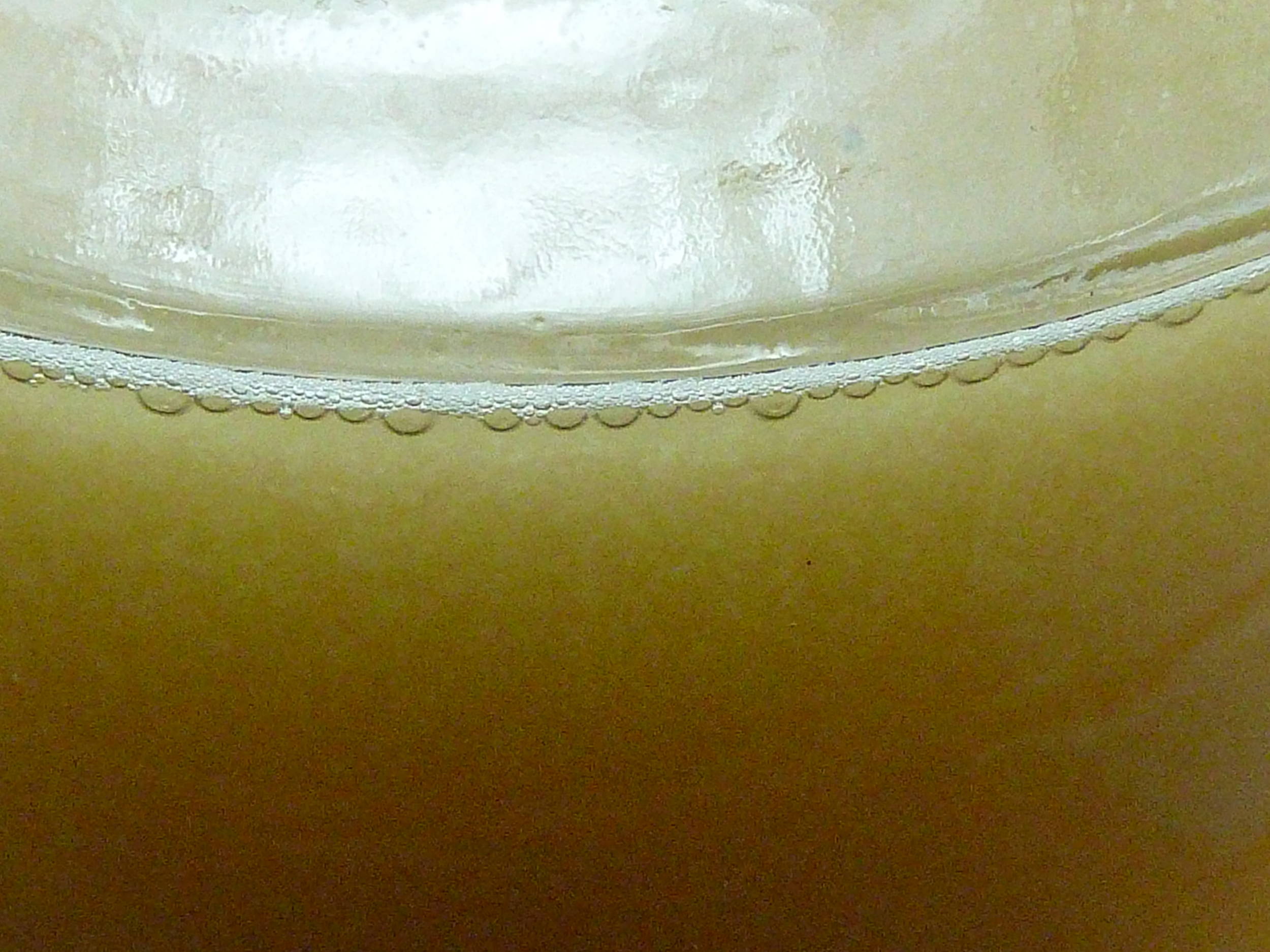 CloseupofyeaststarteronaDIYstirplate