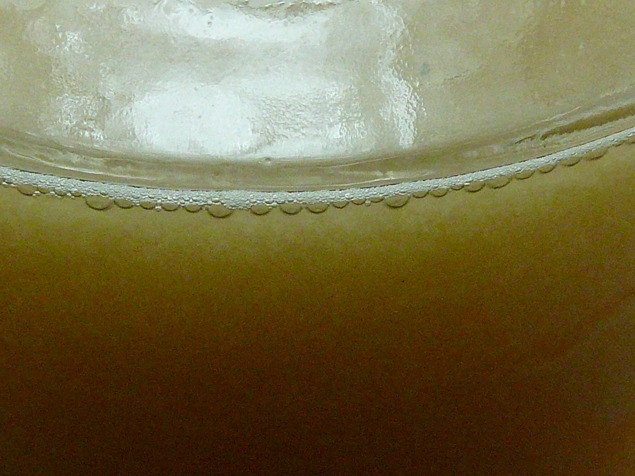 startercloseup