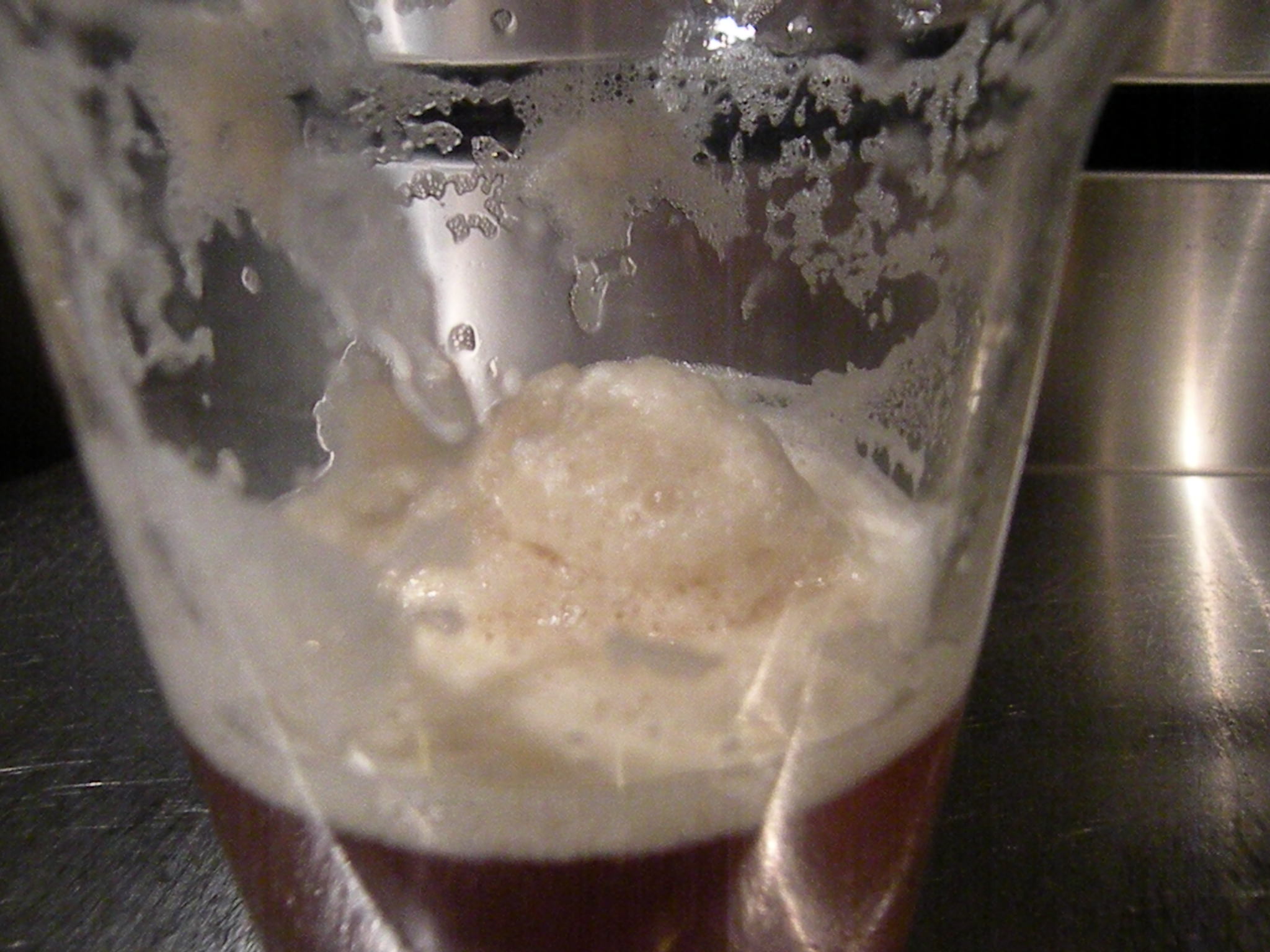 Jan_12_2011_pics_085