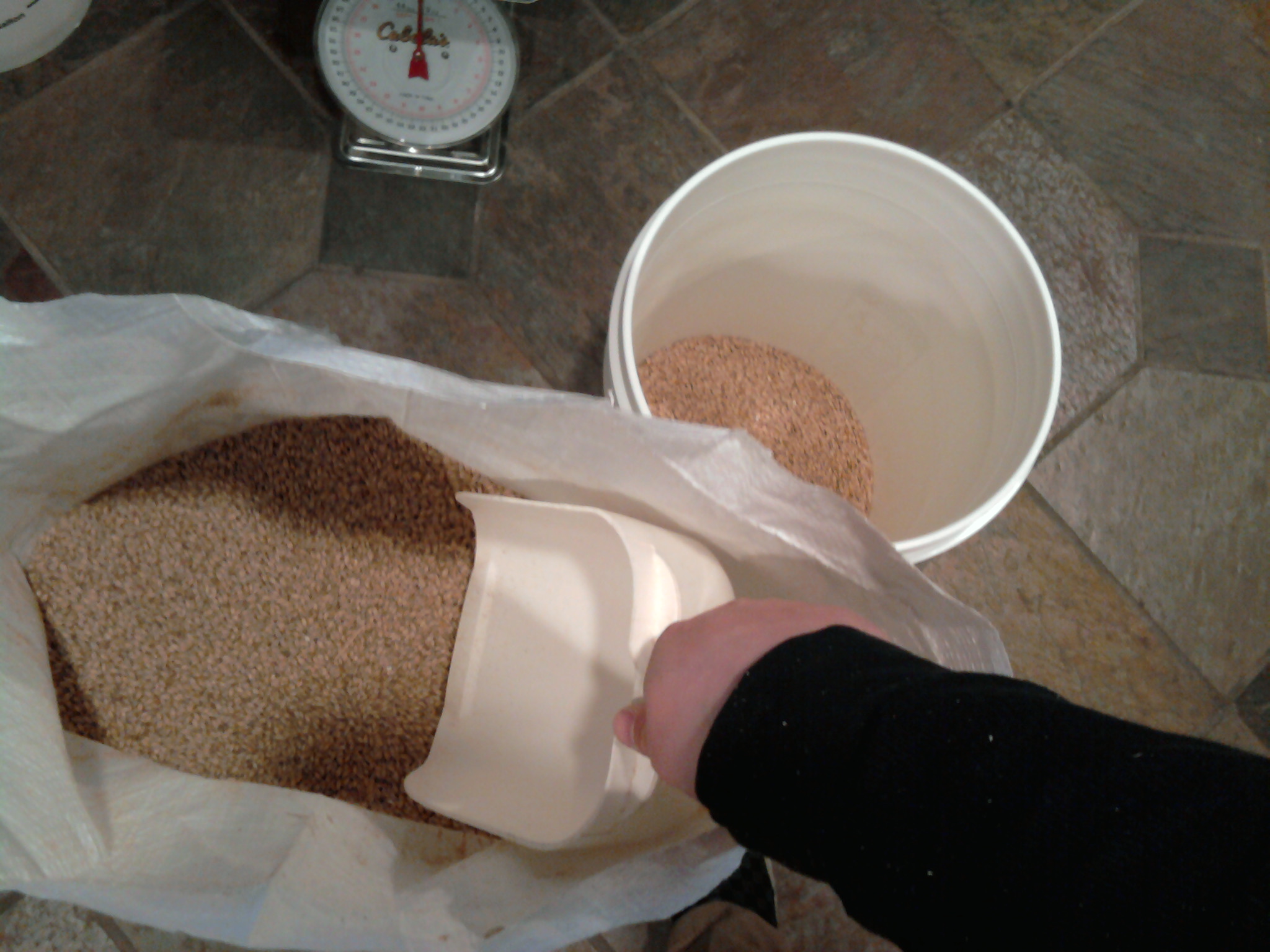 scoopinggrain