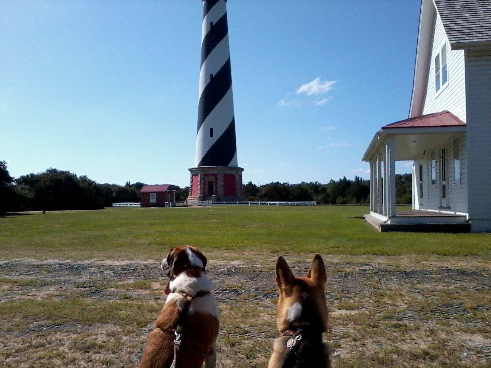 OuterBanks
