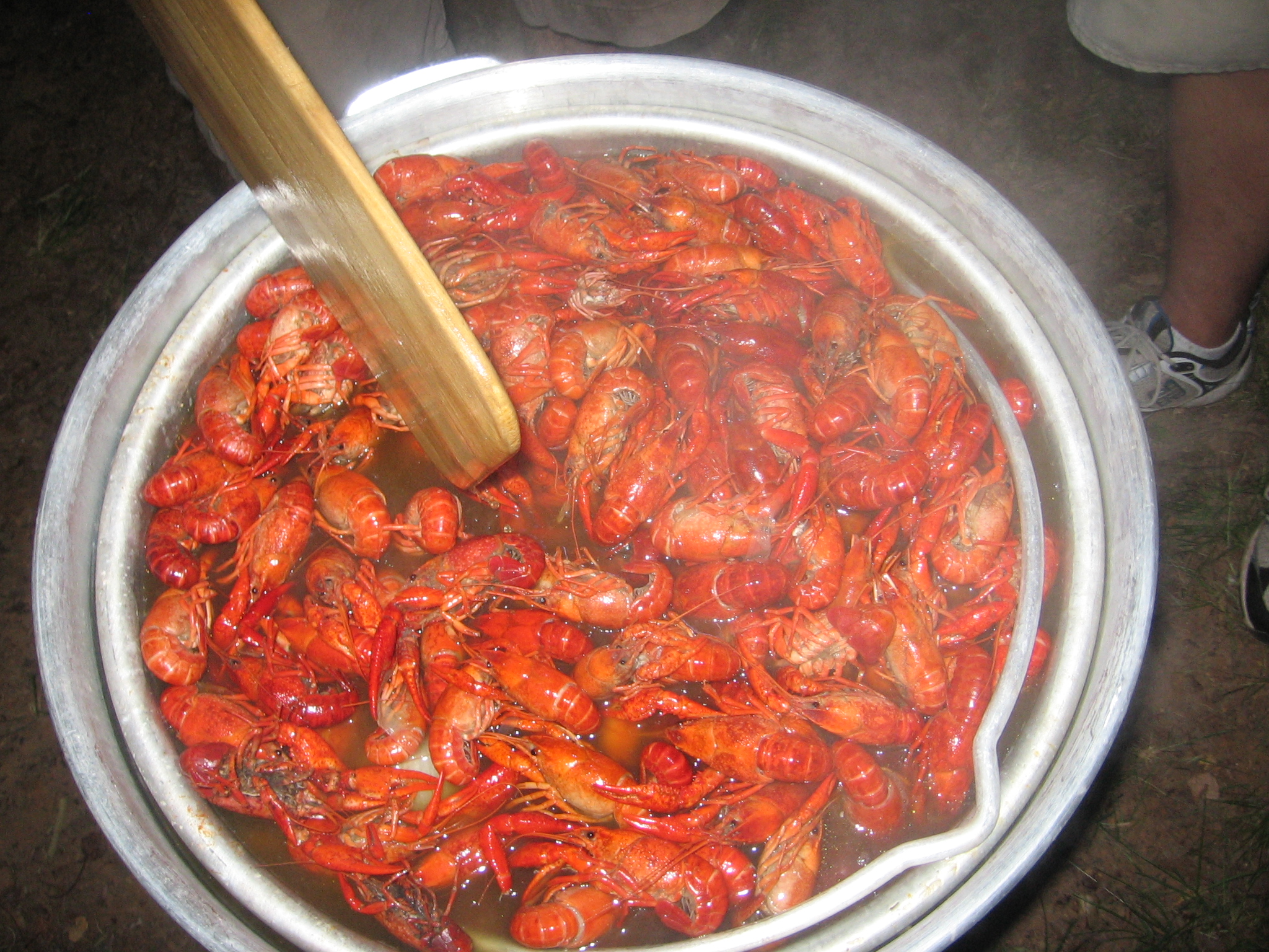 Mmmcrawfish
