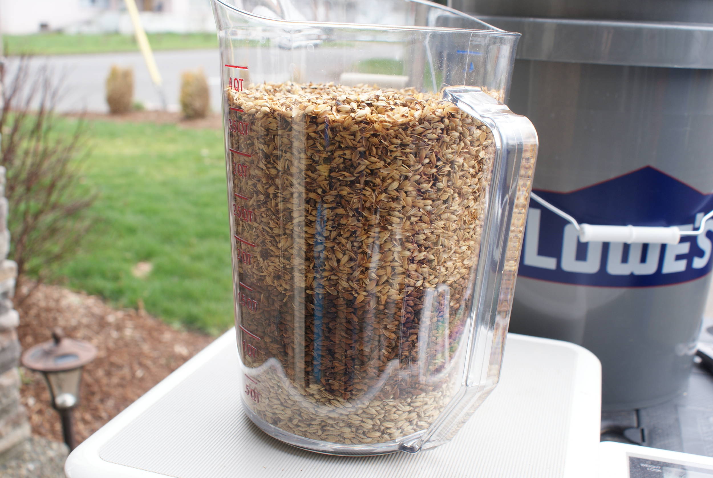 Grains