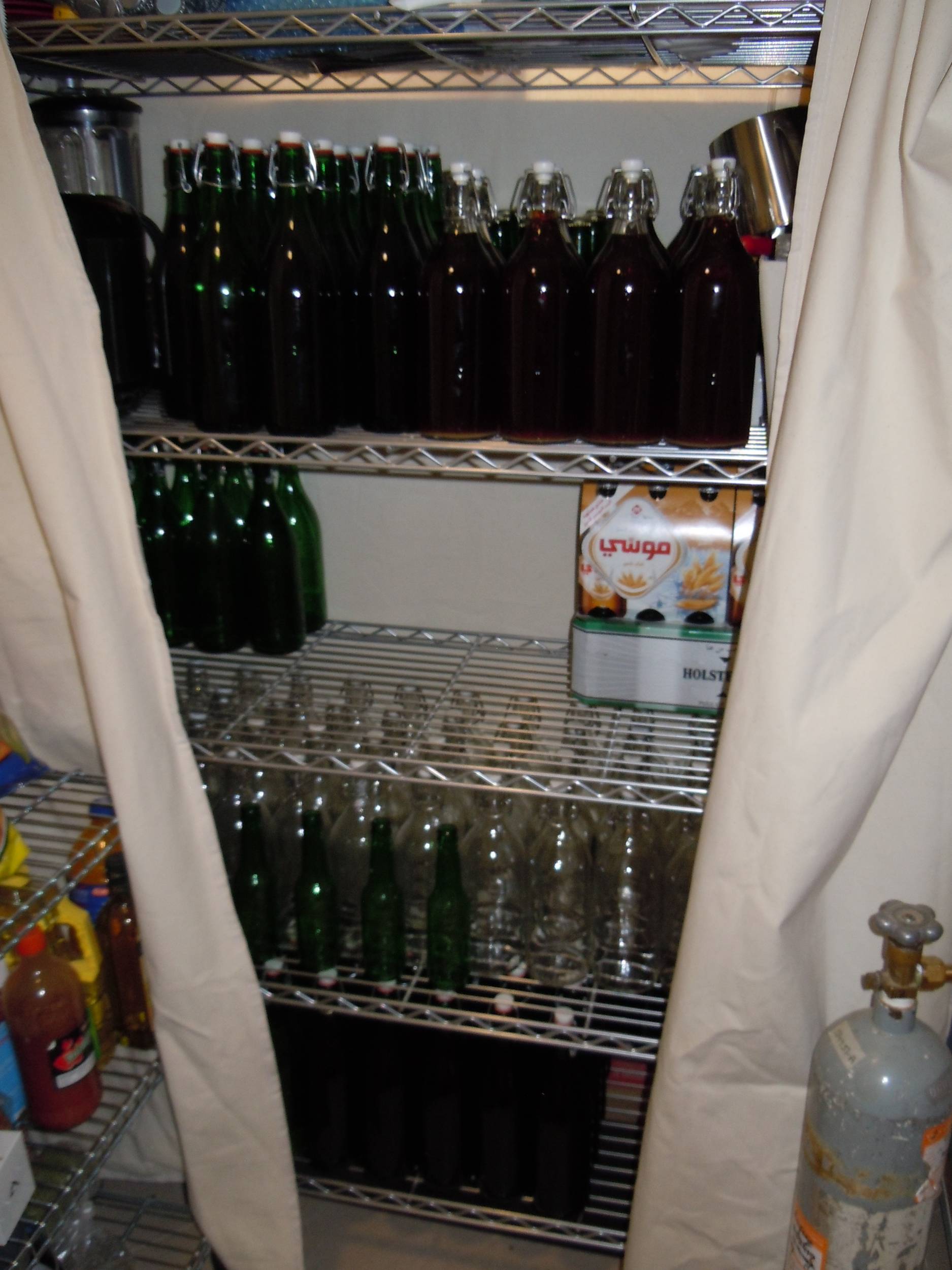 Picture_513