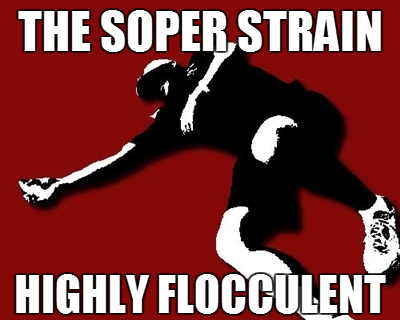 Straibn