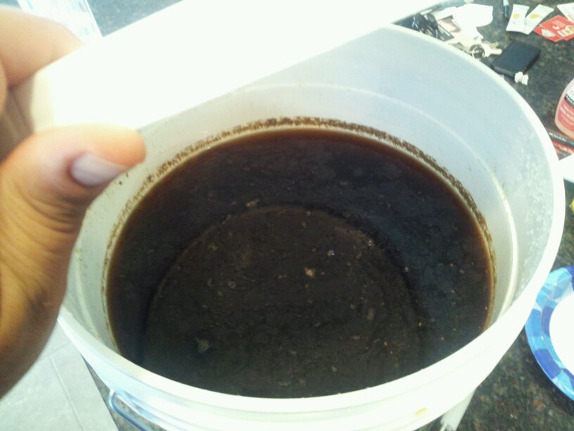 TexasRedinthefermenter