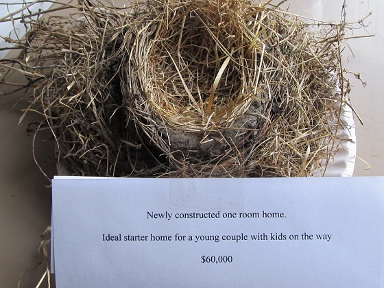 nest