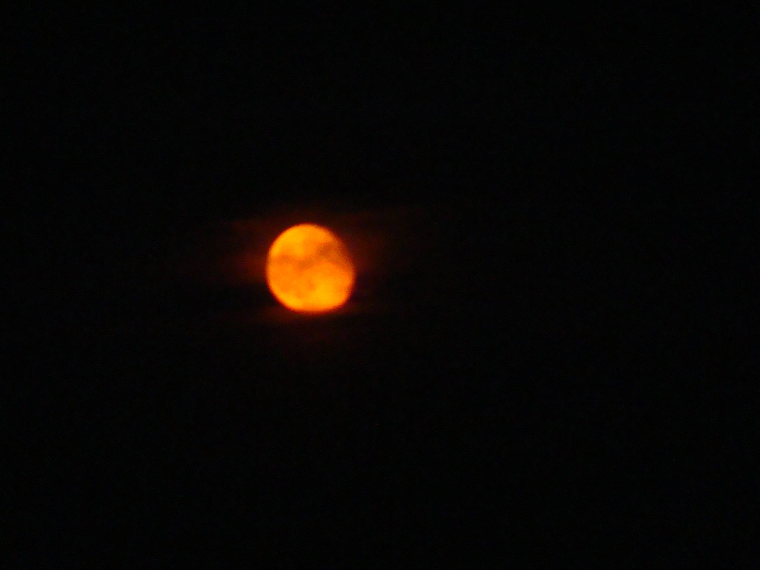 Moon2011Beach