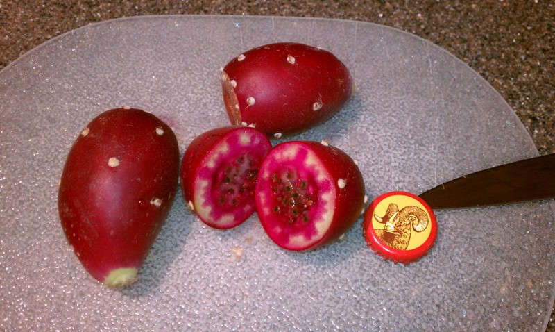 PricklyPears1