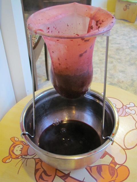 JellyStrainer