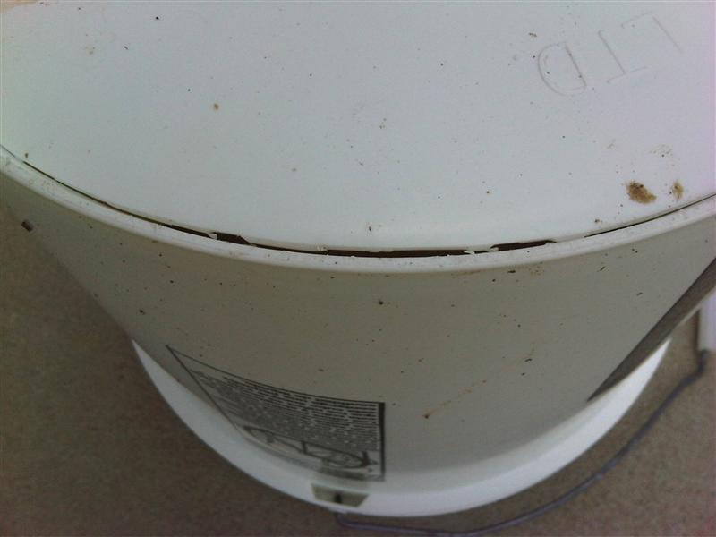 IMG00240-20110816-1817_Medium_