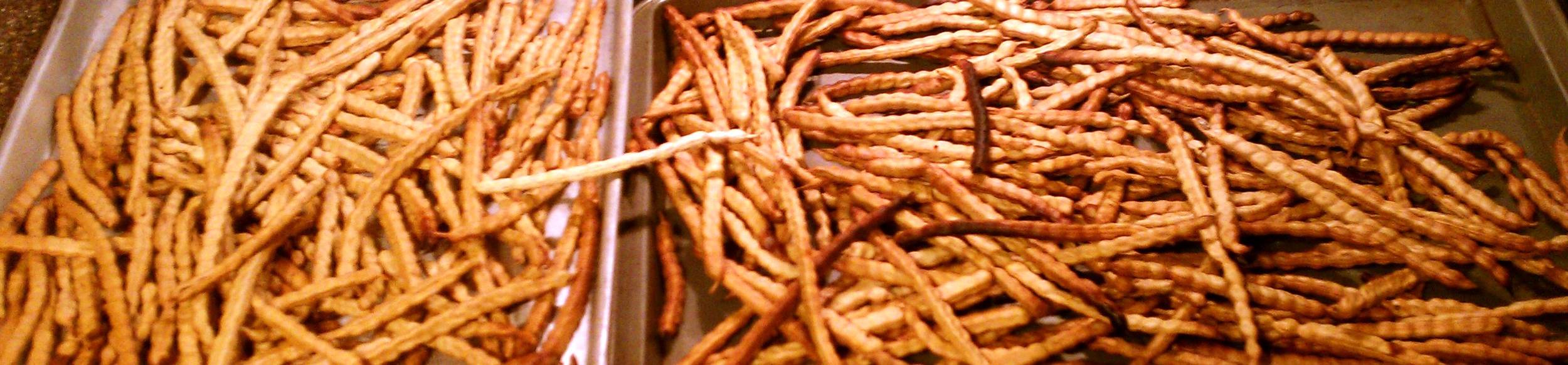 RoastedMesquitePodsA