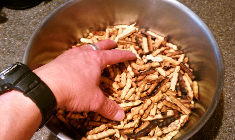 Brewingwithmesquitepods