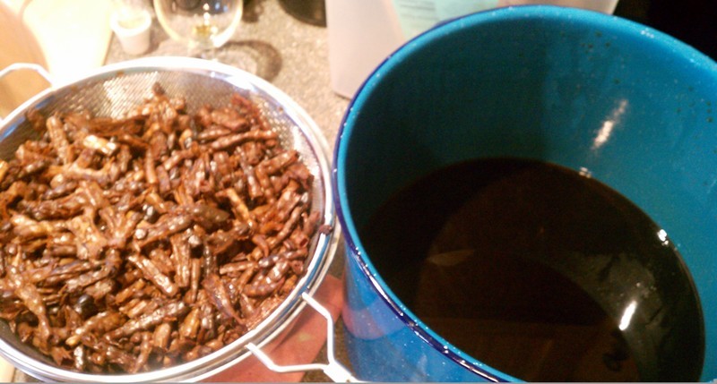 Brewingwithmesquitepods