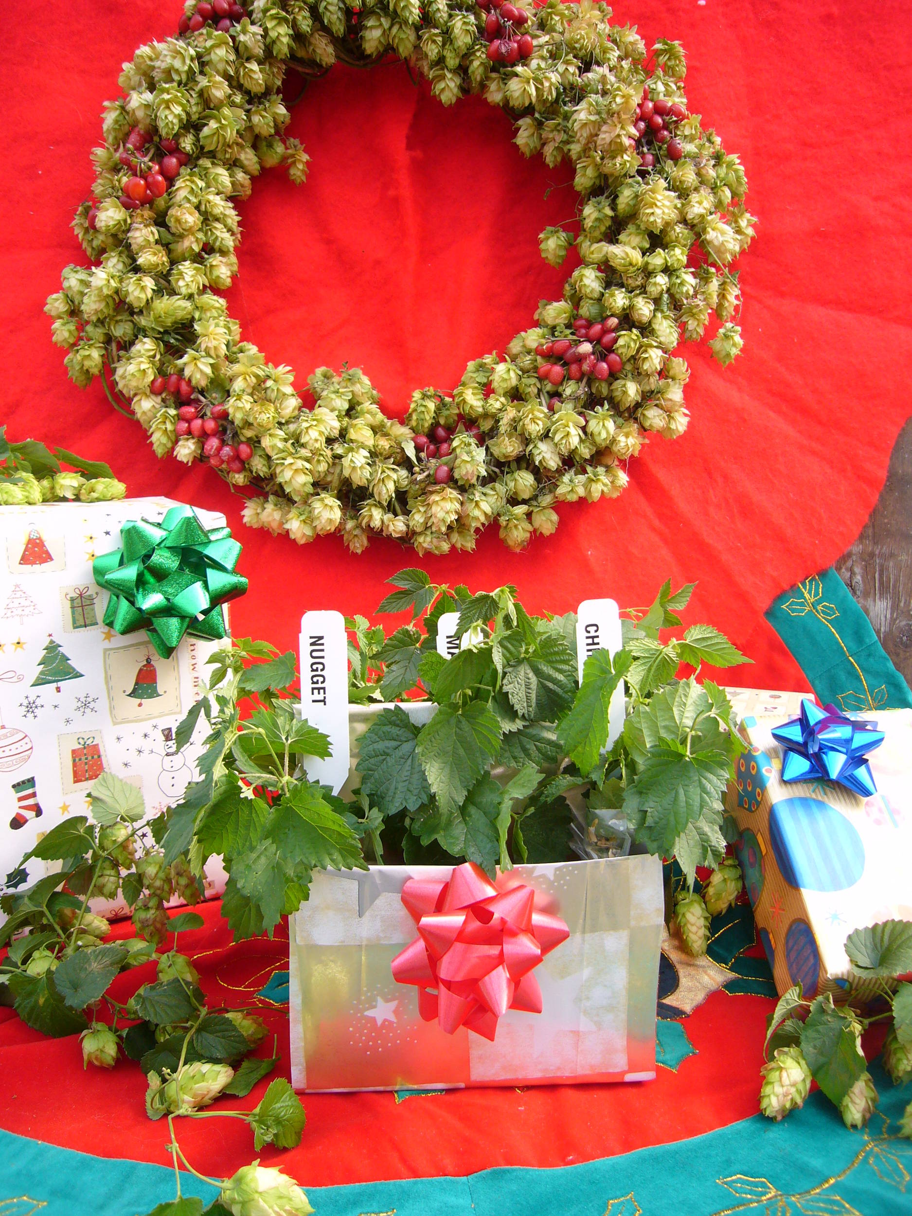 MerryChristmasampaHoppyNewYear