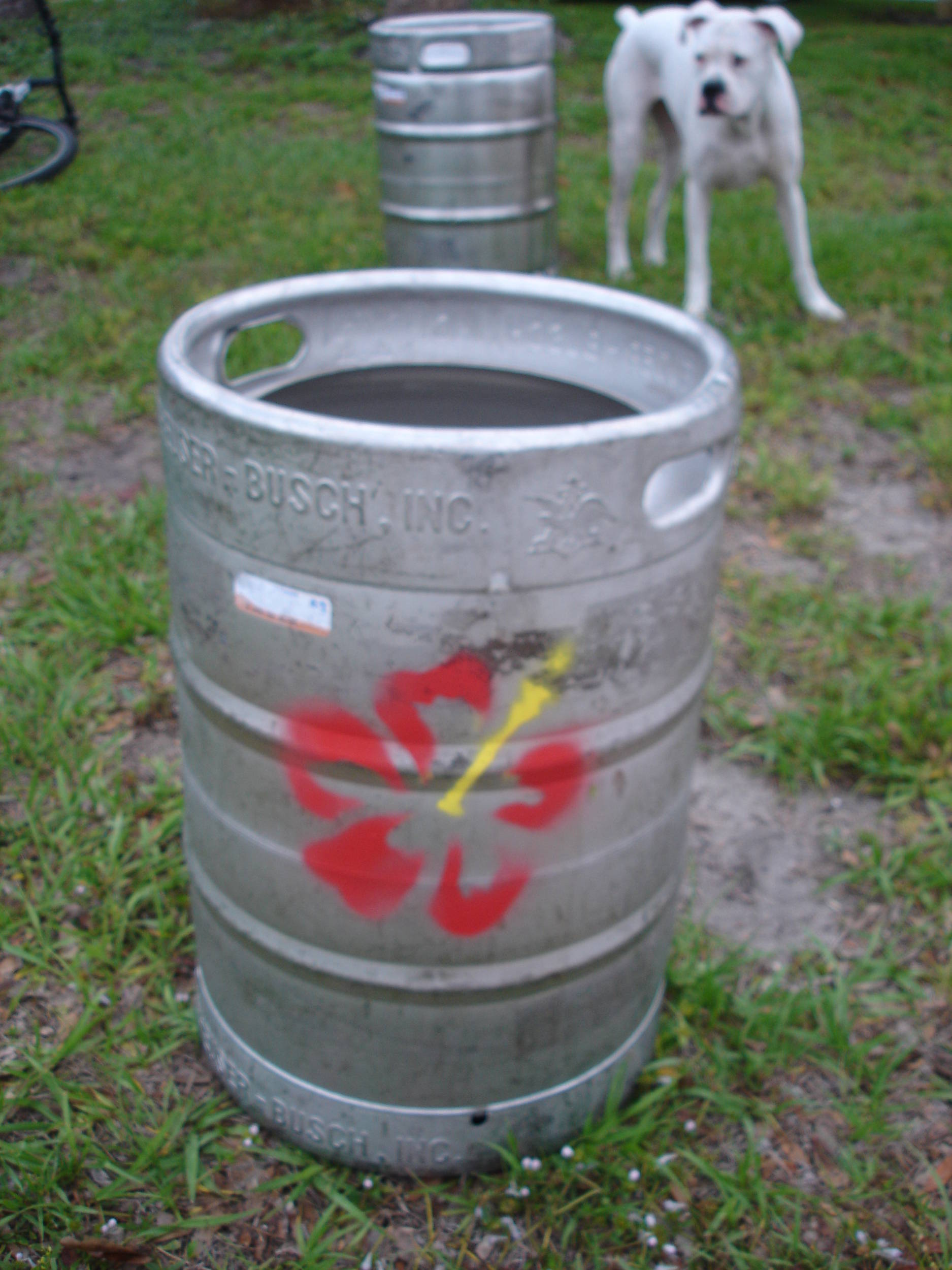 DSC05703
