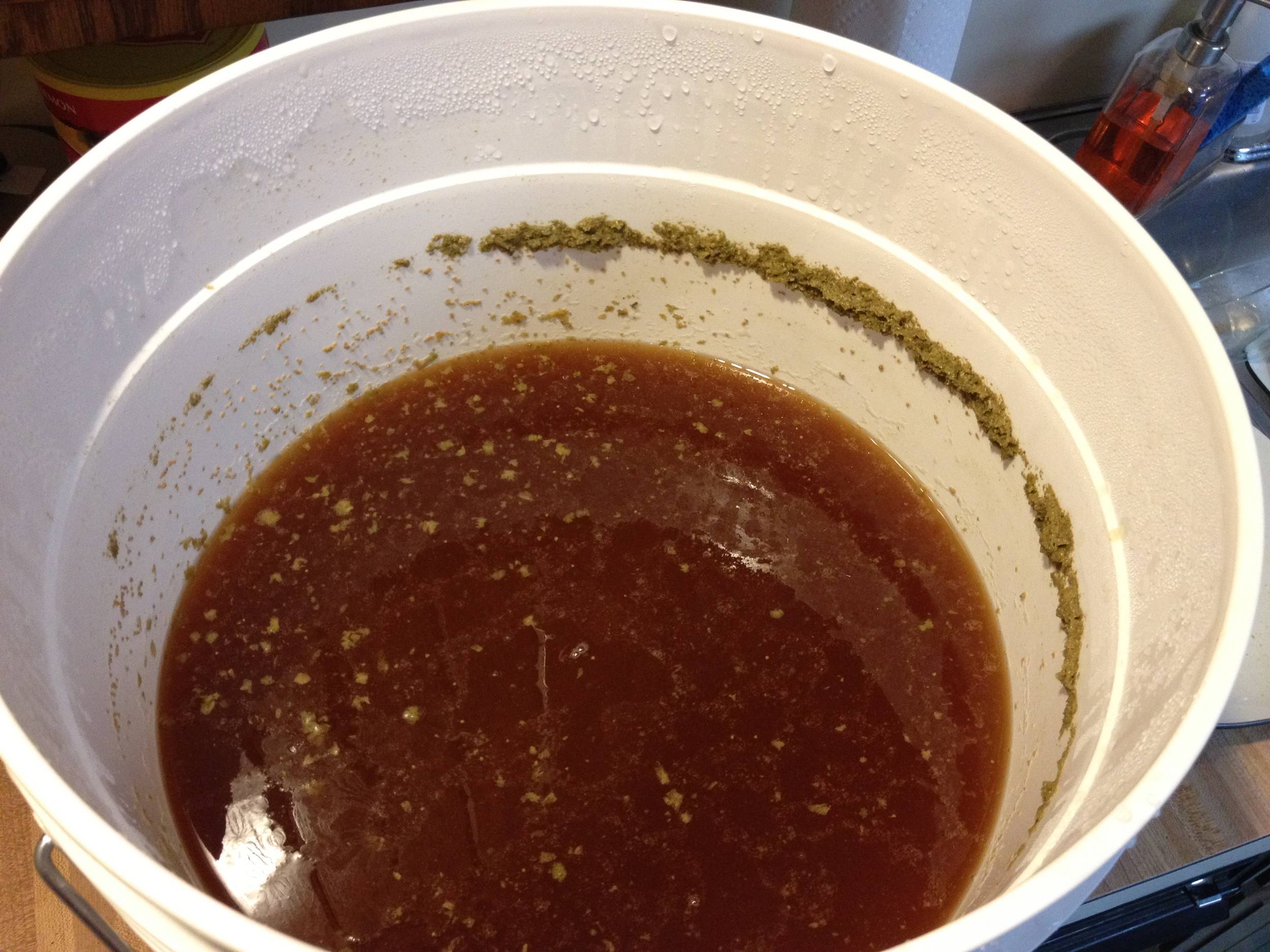 1stEverBrew-TrueBrewOktoberfest