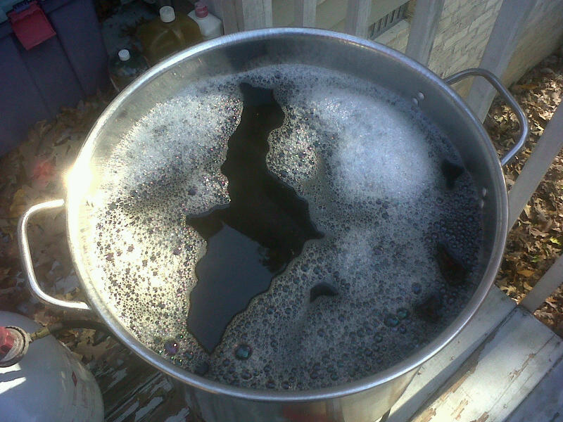 9_gallons_of_WH_wort