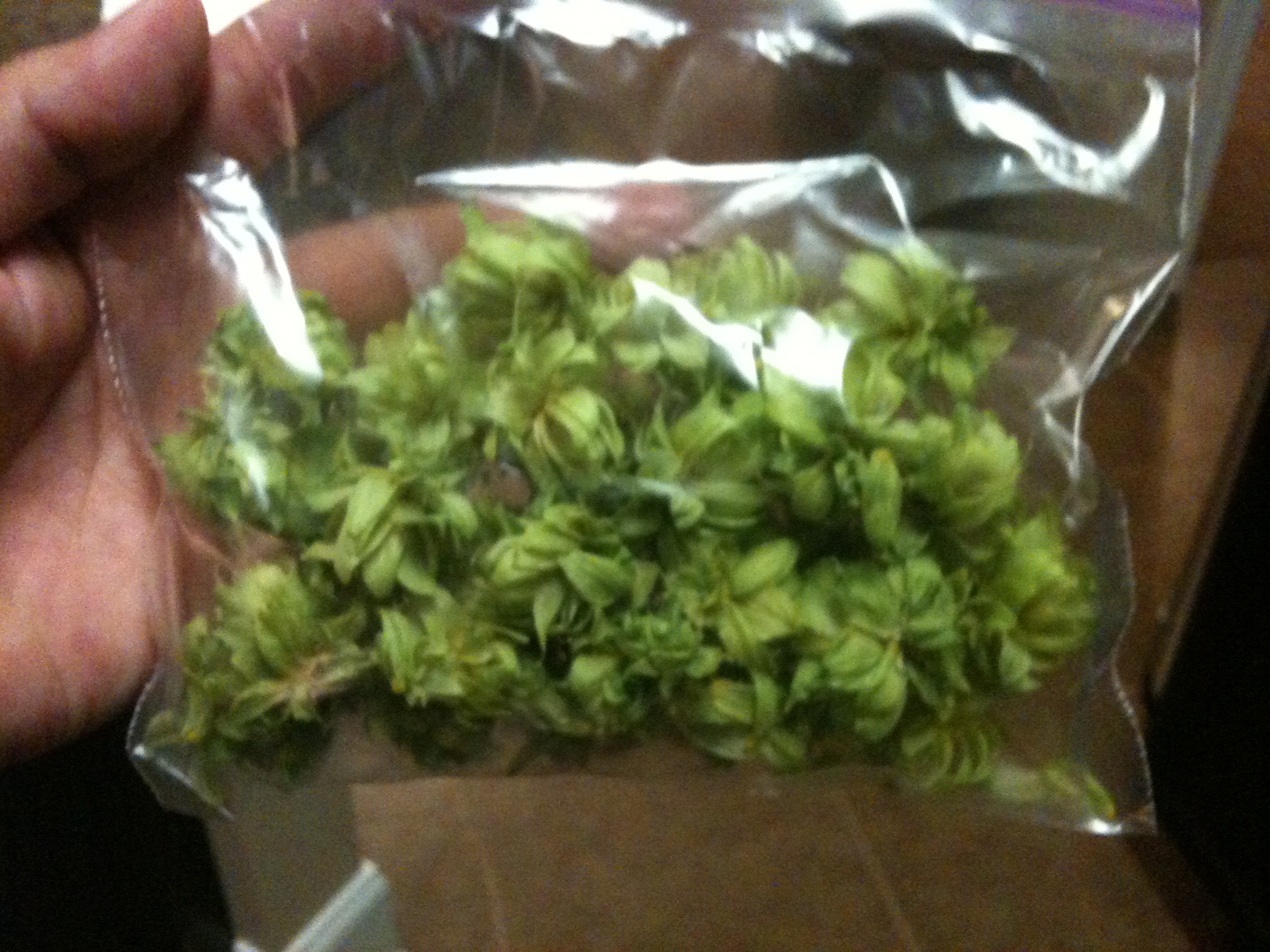 HomegrowninsouthLouisiana