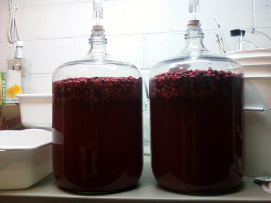 CranberryintheSecondary