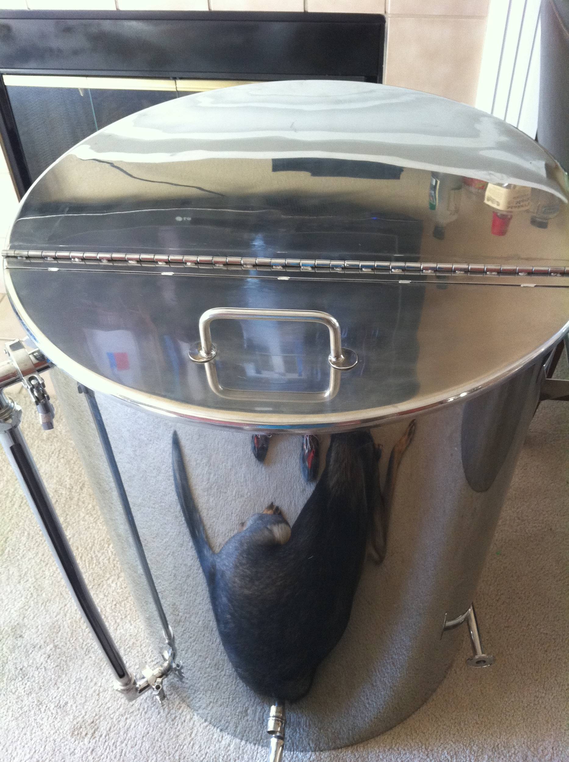 brewing