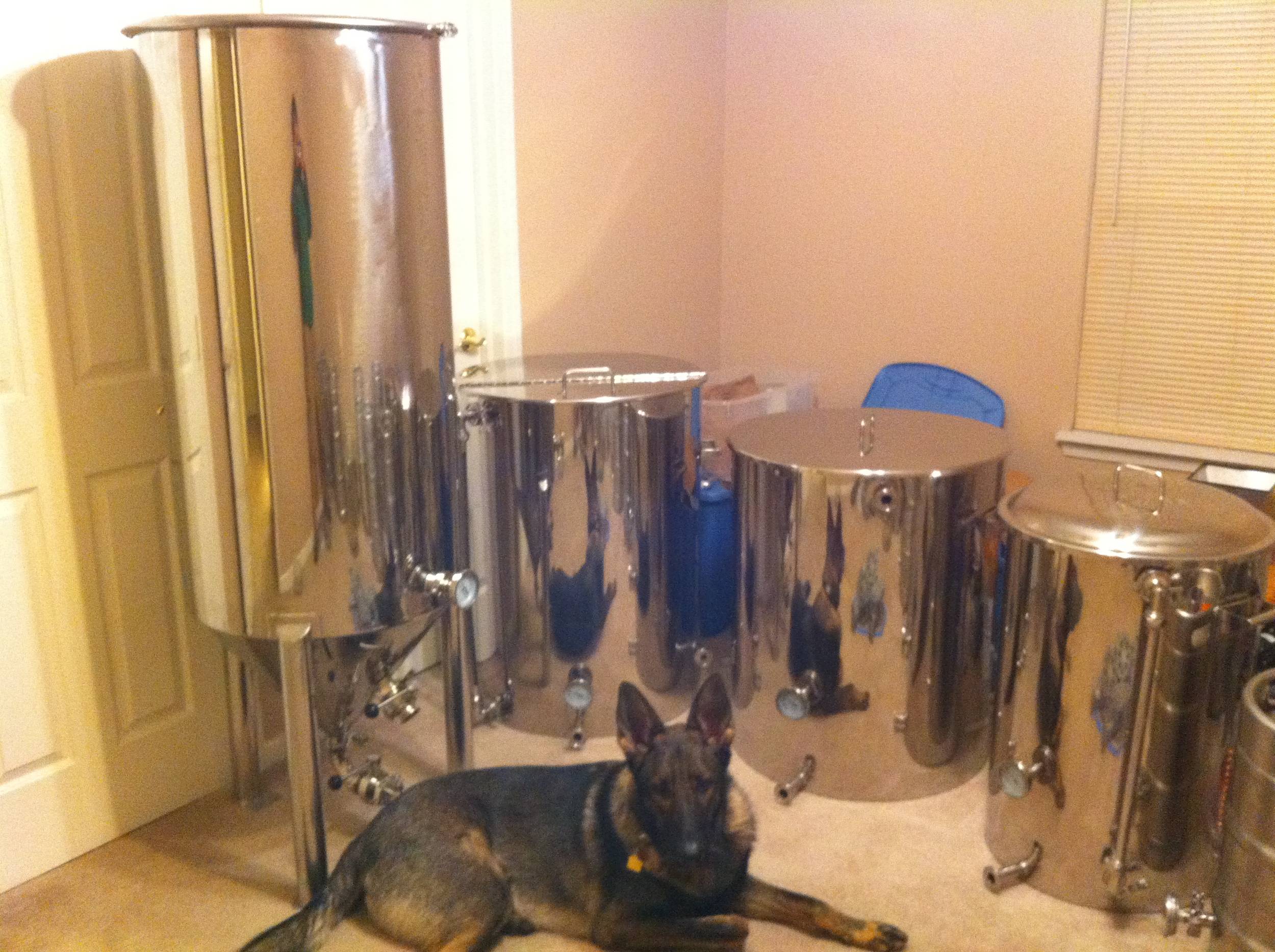 brewing