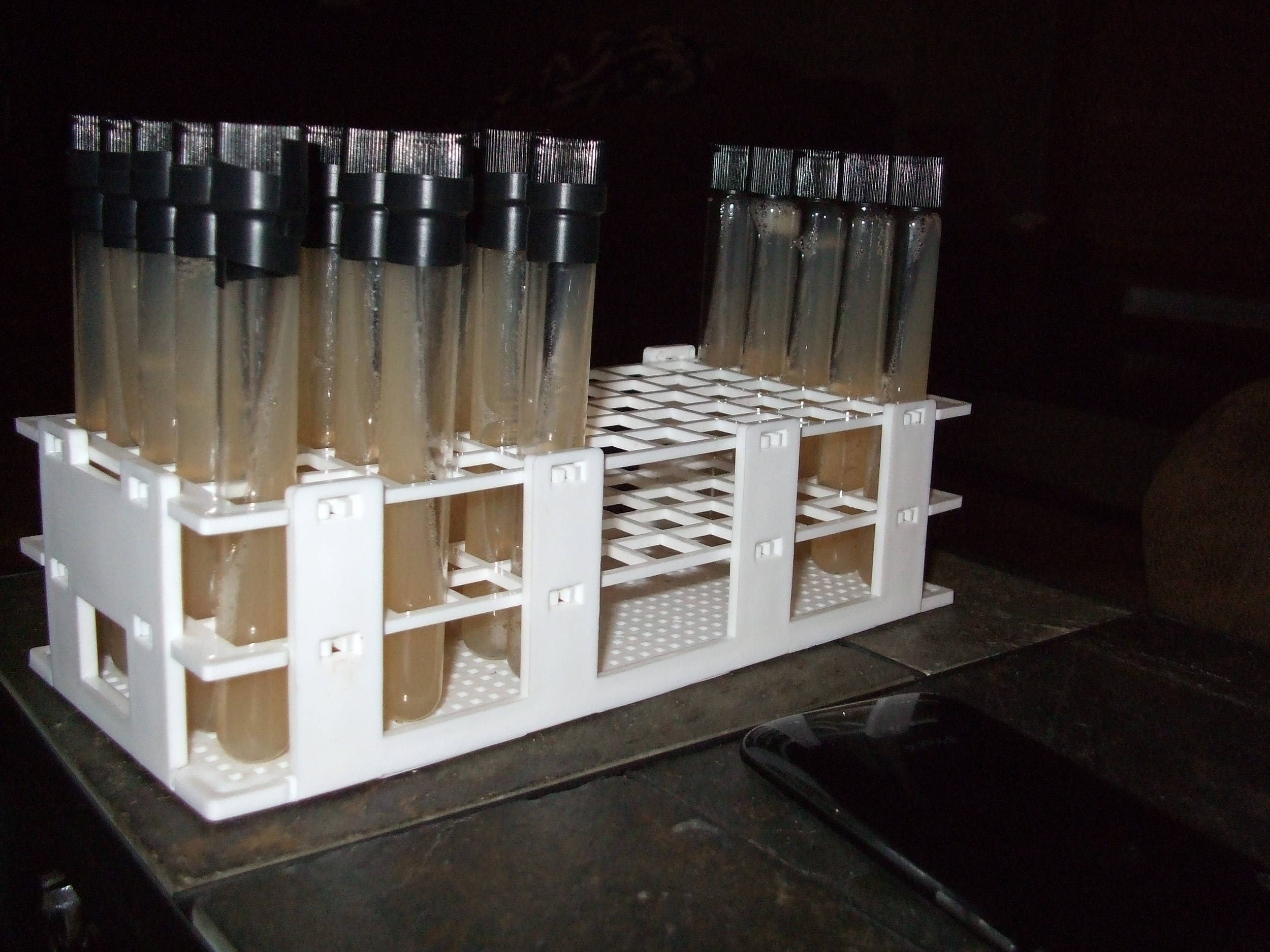 yeastbank_001
