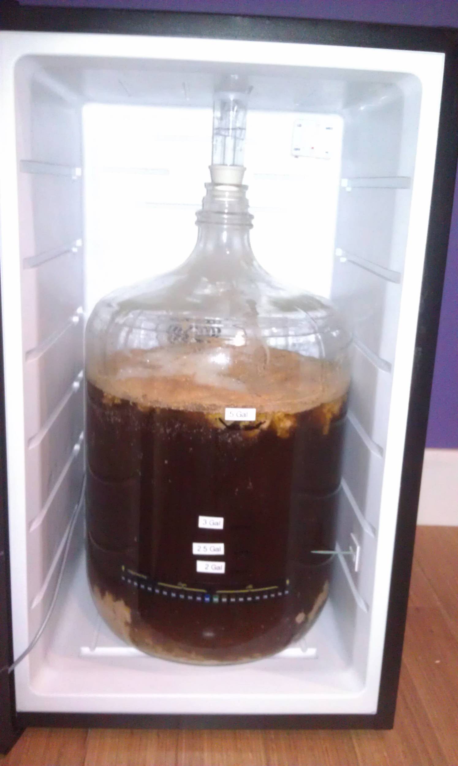 PilsnerIntheNewFermentationChamber