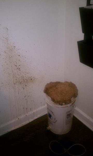 stout explosion.jpg
