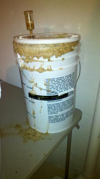 Rye IPA Blowoff.jpg