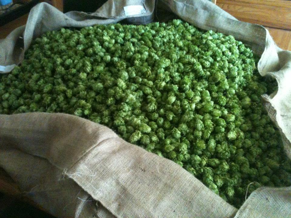 steadfasthopfarm2011
