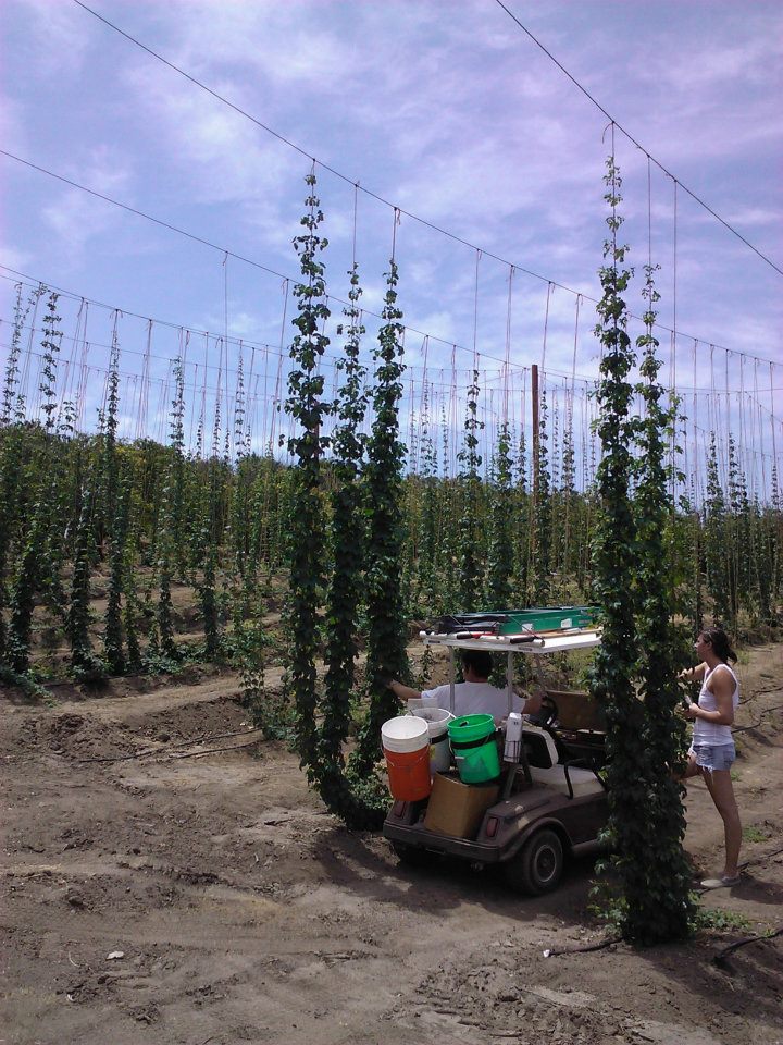 steadfasthopfarm2011