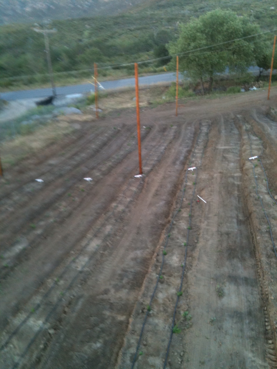 steadfasthopfarm