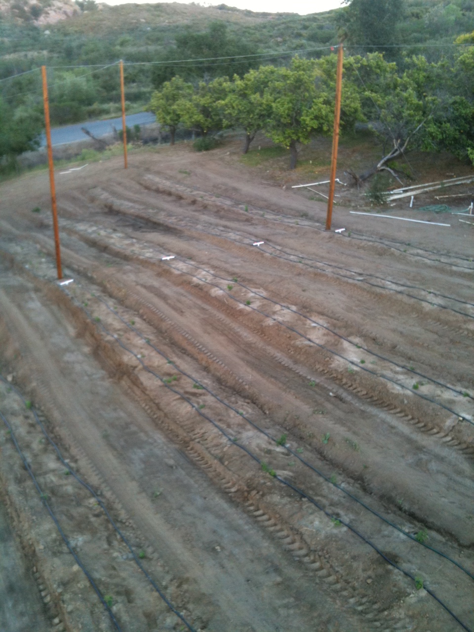steadfasthopfarm