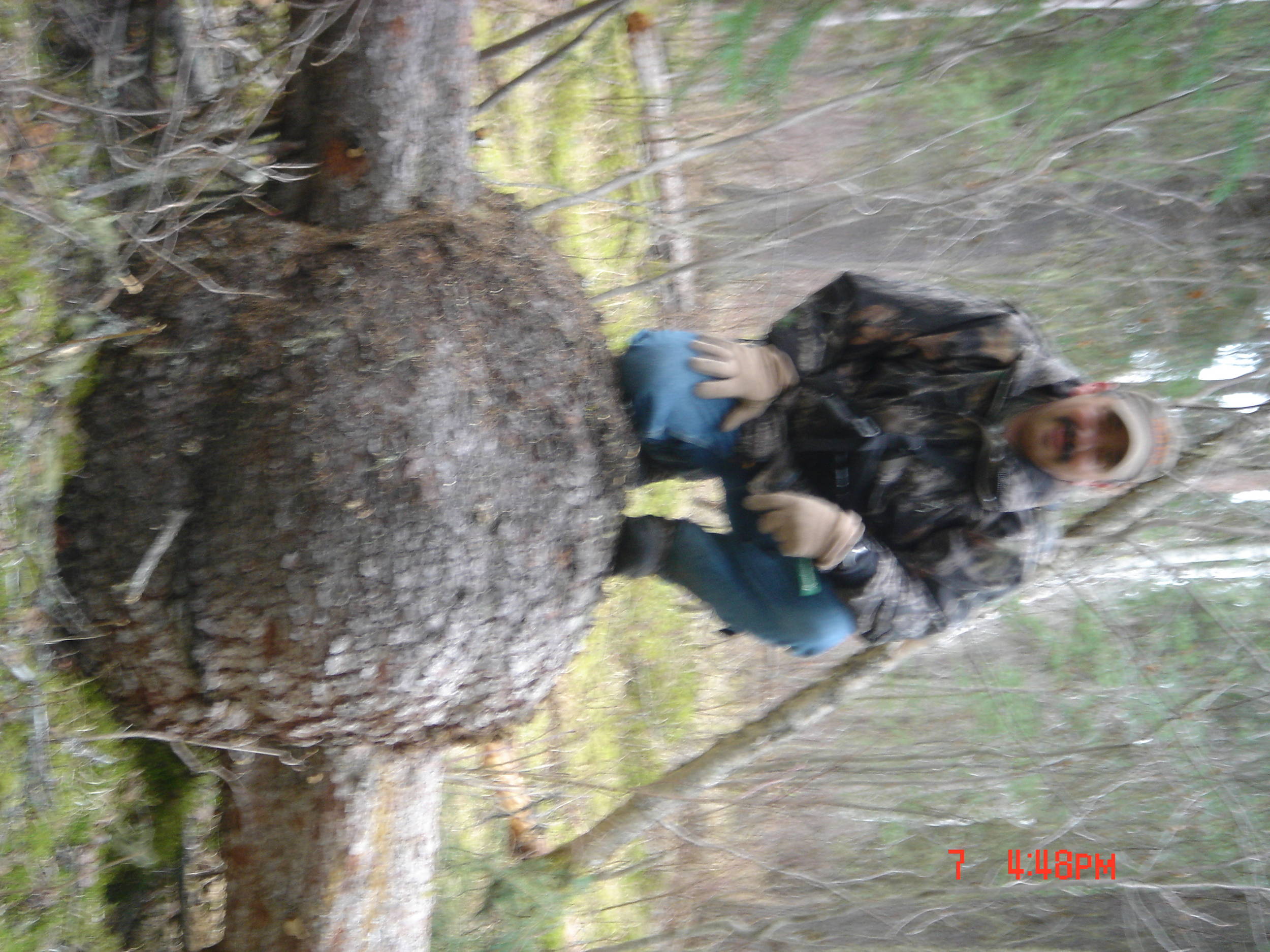 Burl_1