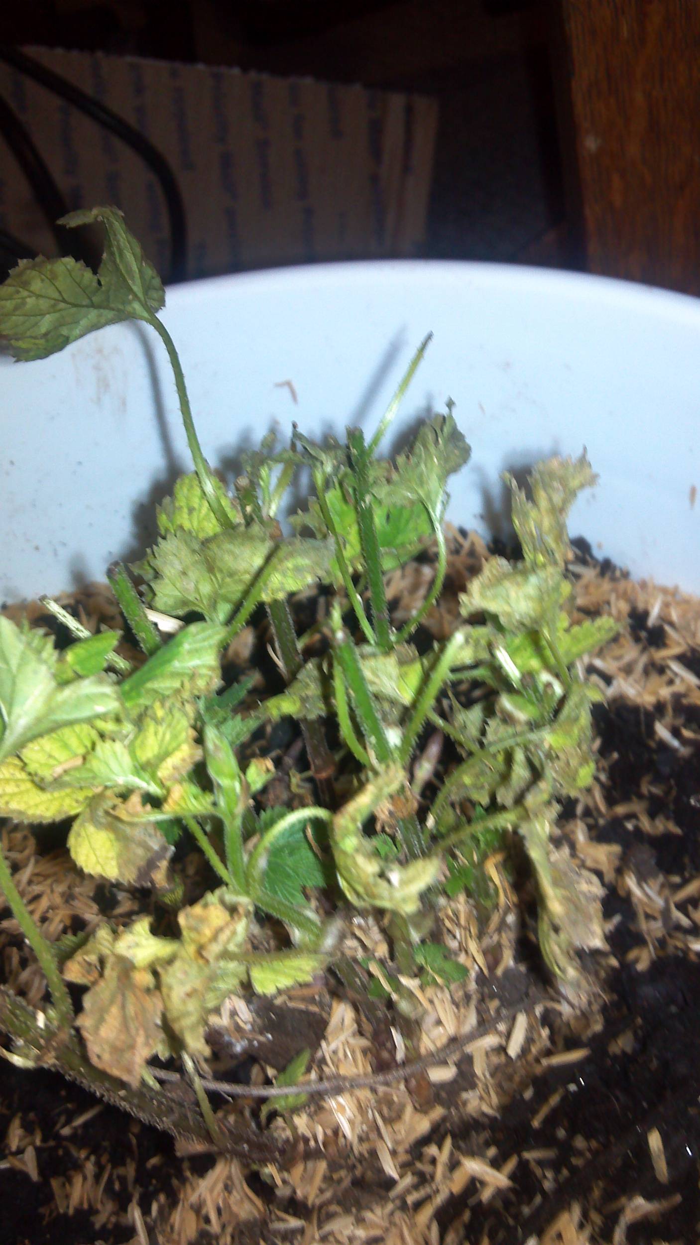 2012-04-02_06-53-00_790