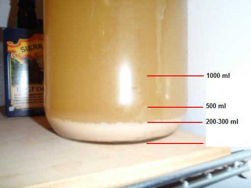 Lagerstarter