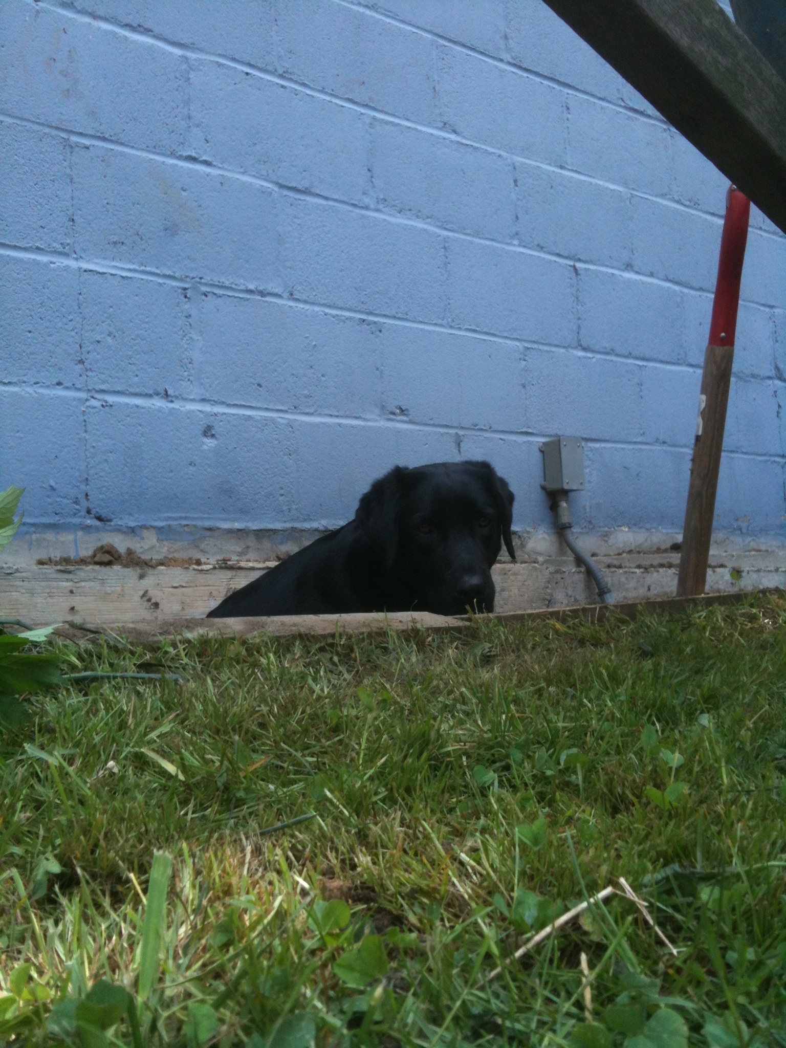 Gretlsittinginthehole