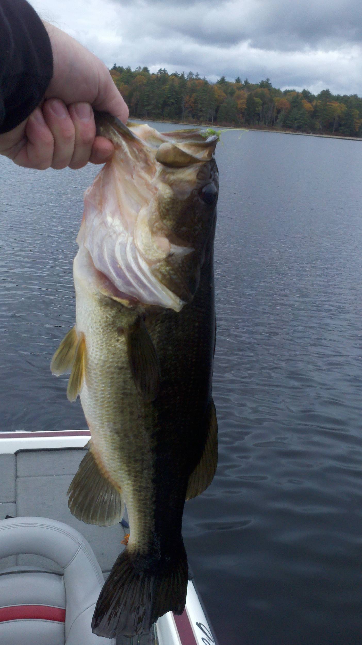2011-10-22_11-04-04_592