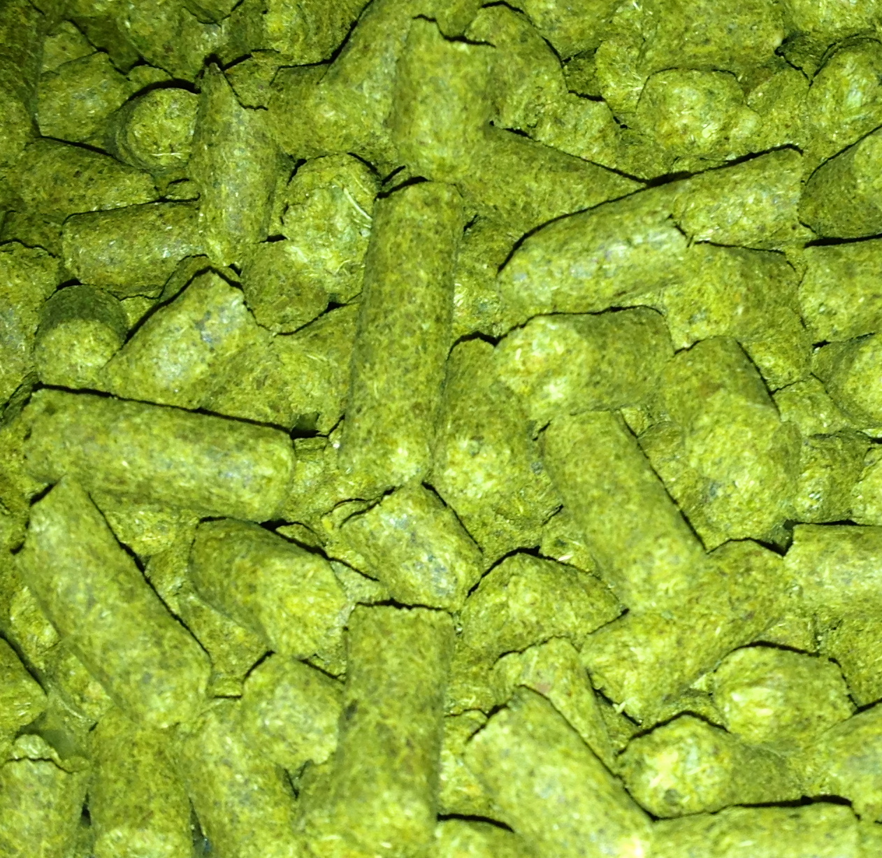 hops