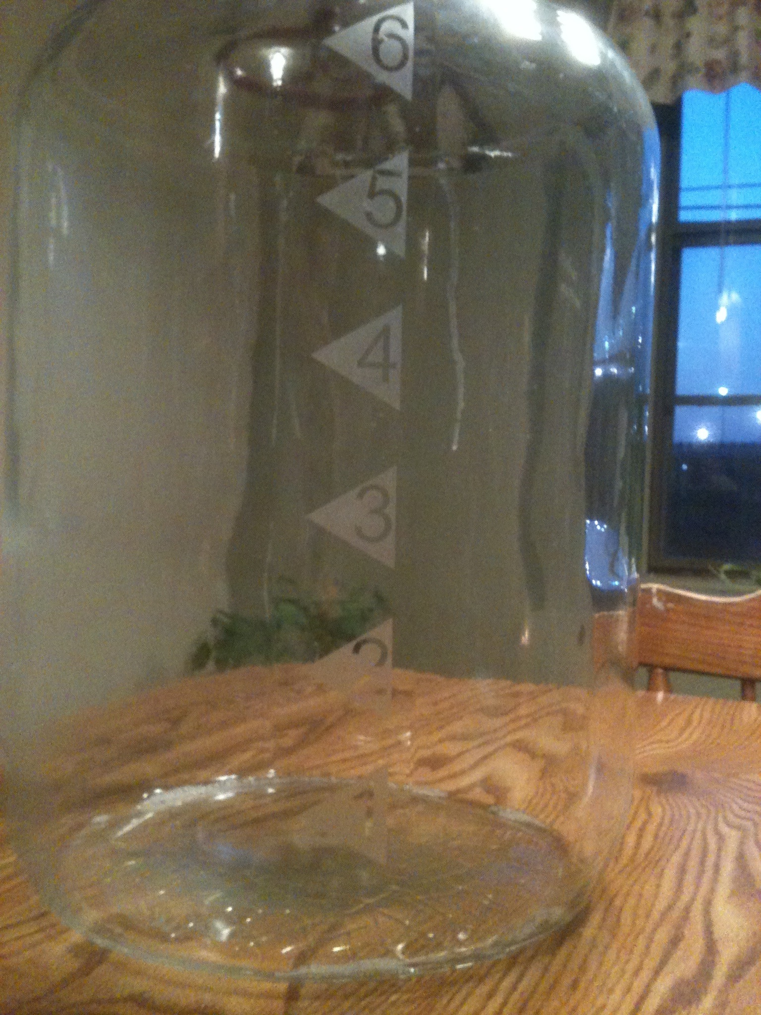 Carboy etching