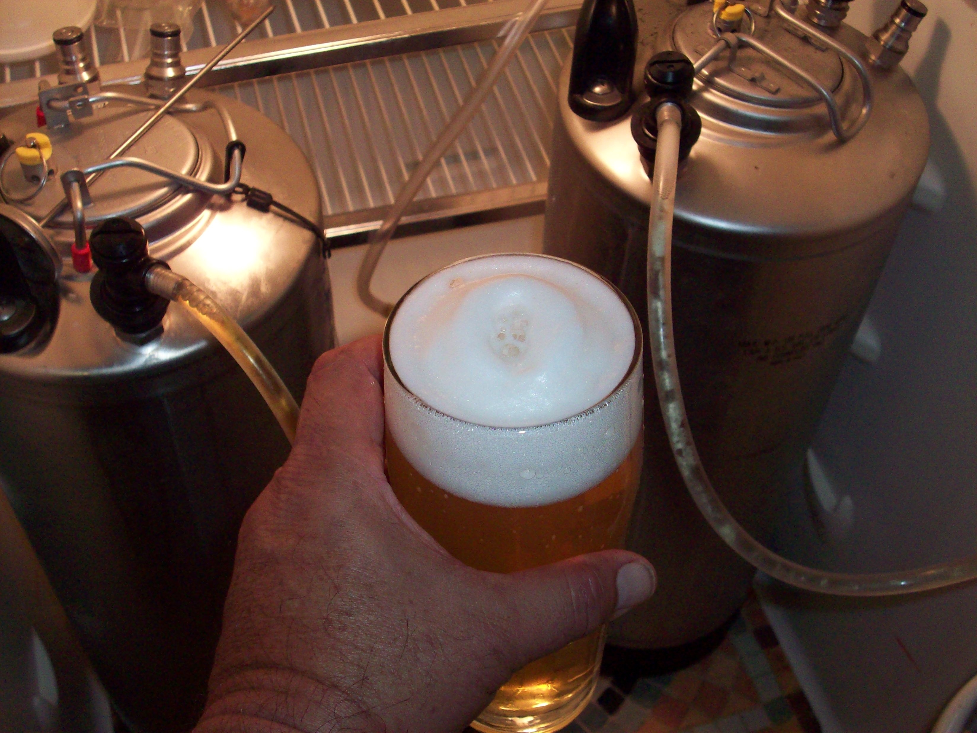 Great beer with home grown yeast