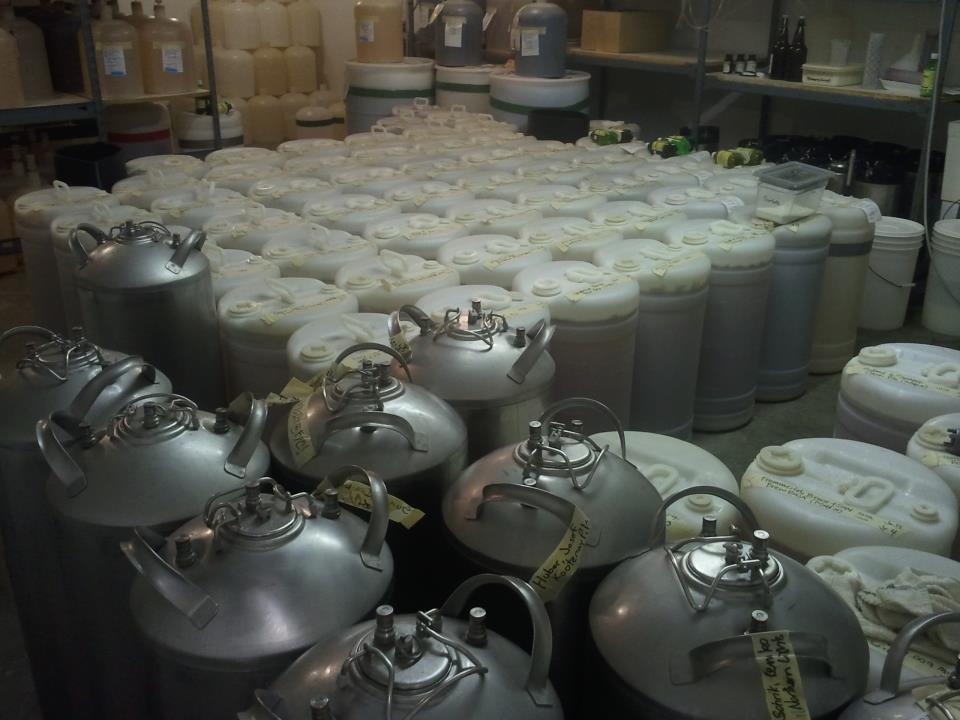 The Cold Room!!
