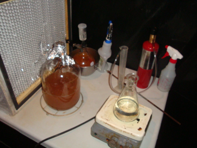 2 liter starter
