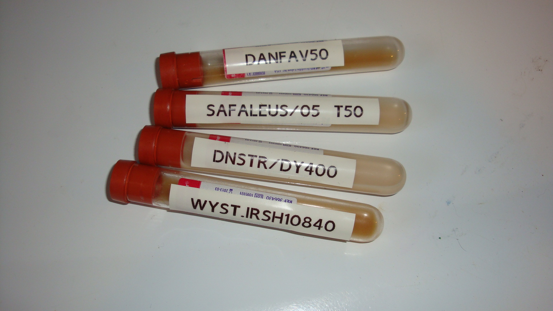 4 strains