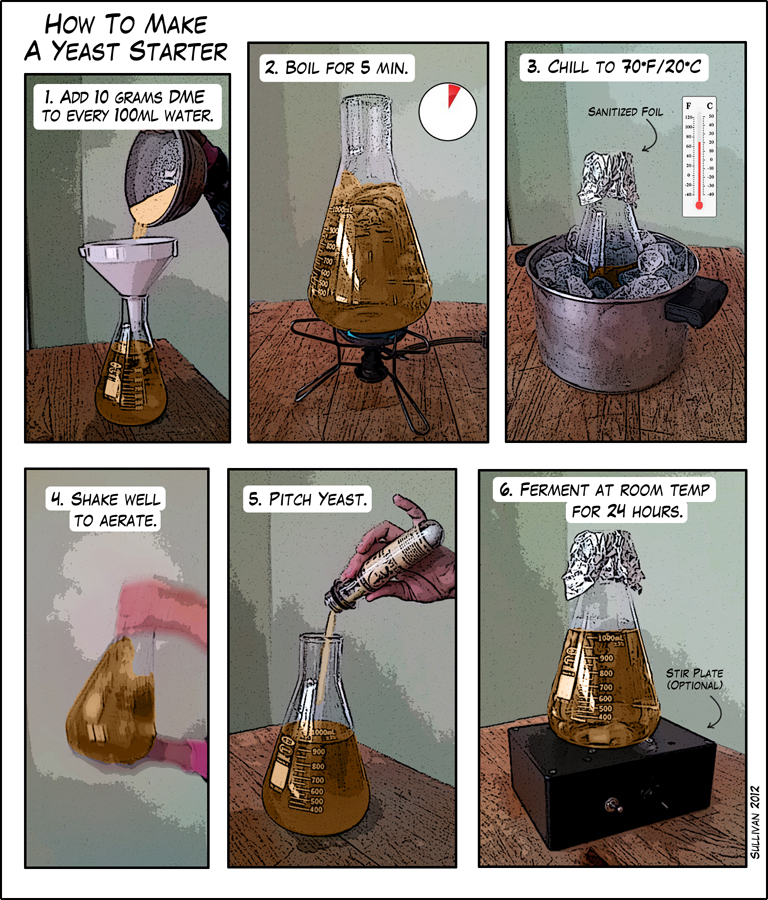 How to Make a Yeast Starter