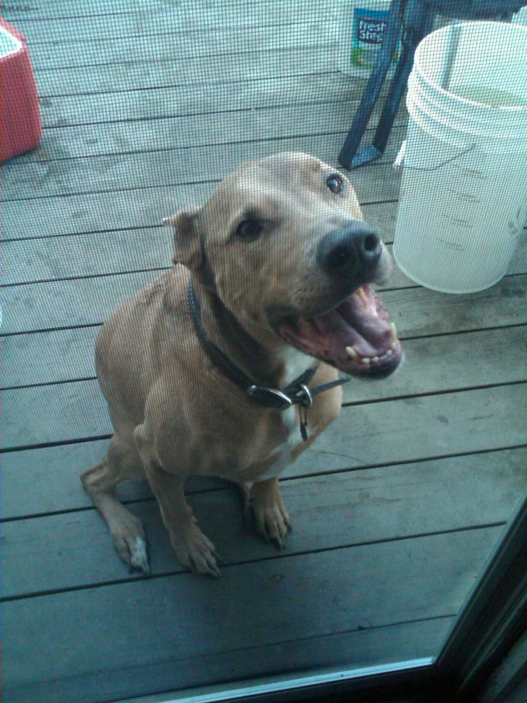 My Big Baby
