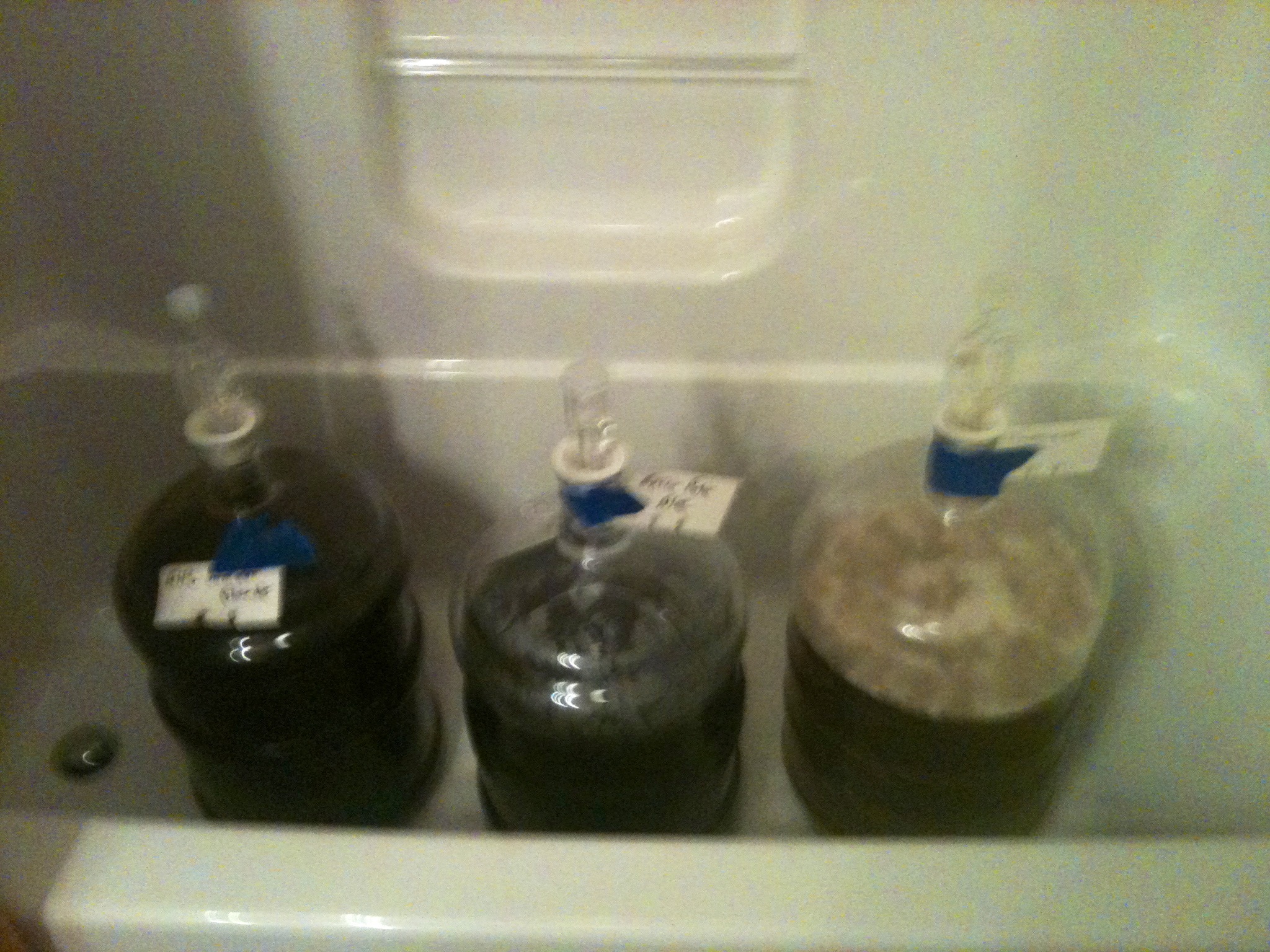 Brew