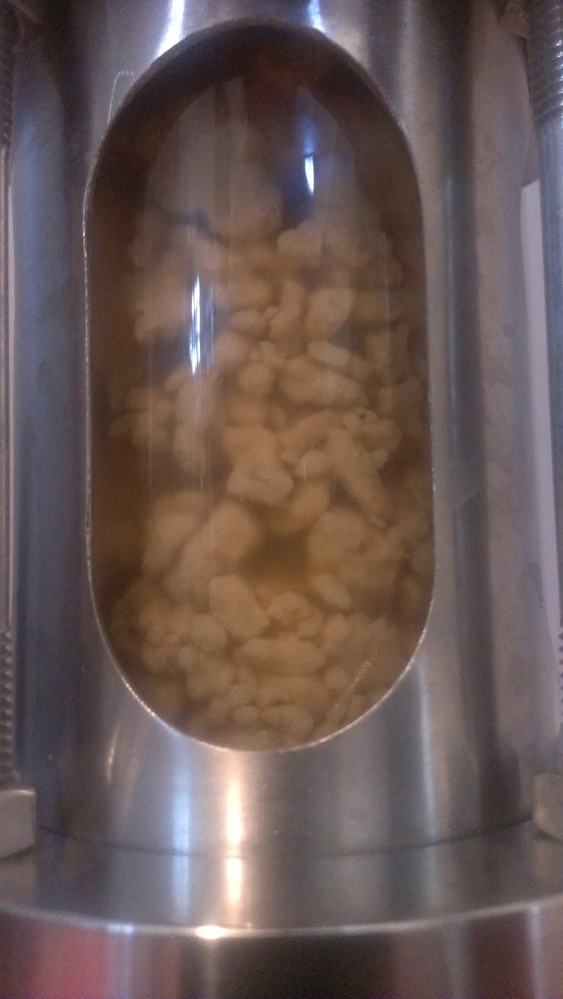 WLP001 Yeast Clumping