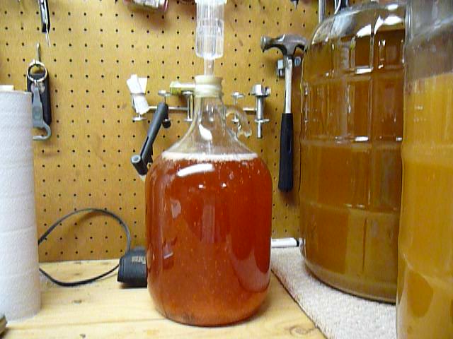 Raspberry ice tea fermenting
